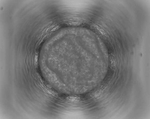 X0000087340745200705111547