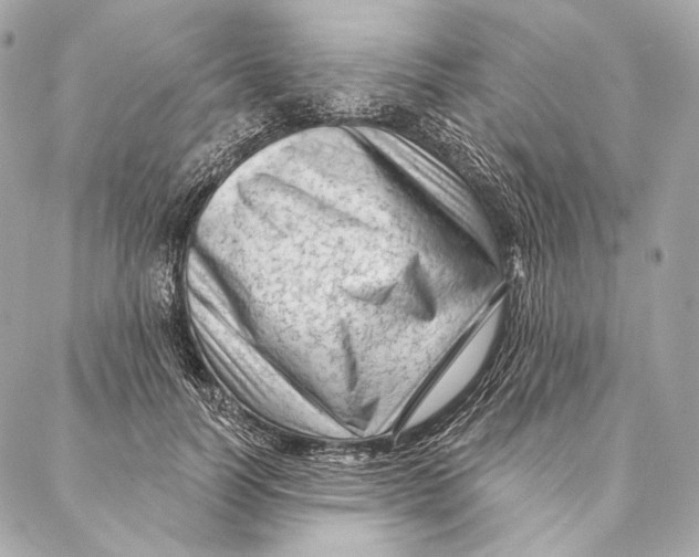 X0000087340746200705111547