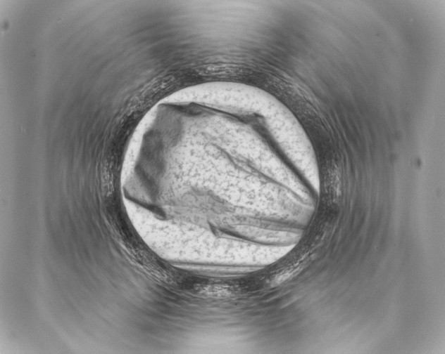 X0000087340751200705111547