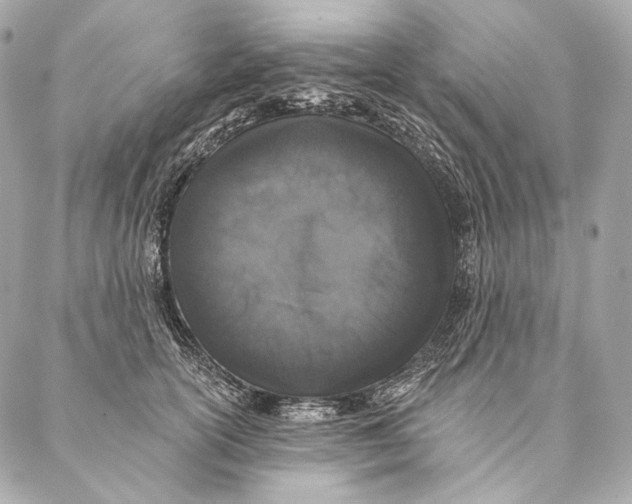 X0000087340754200705111547