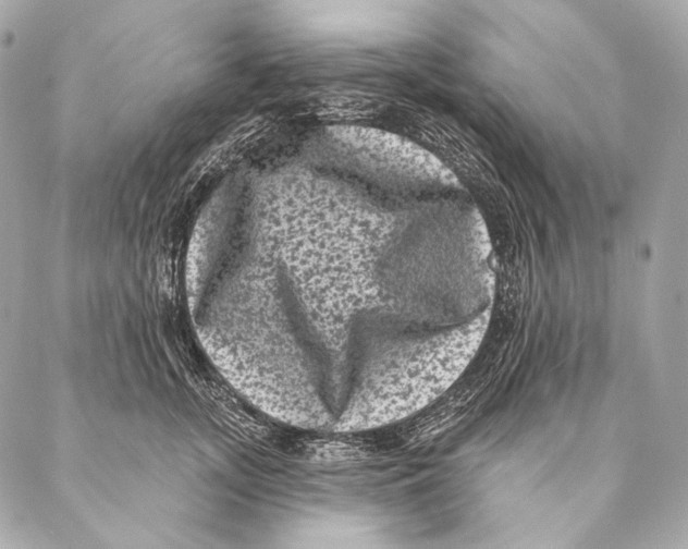 X0000087340755200705111547