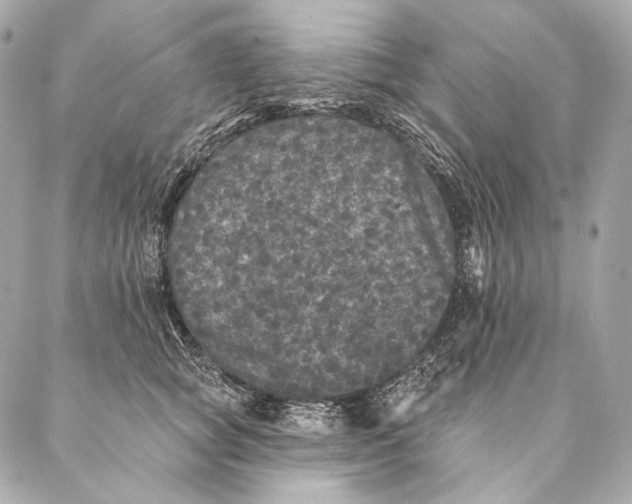 X0000087340757200705111547