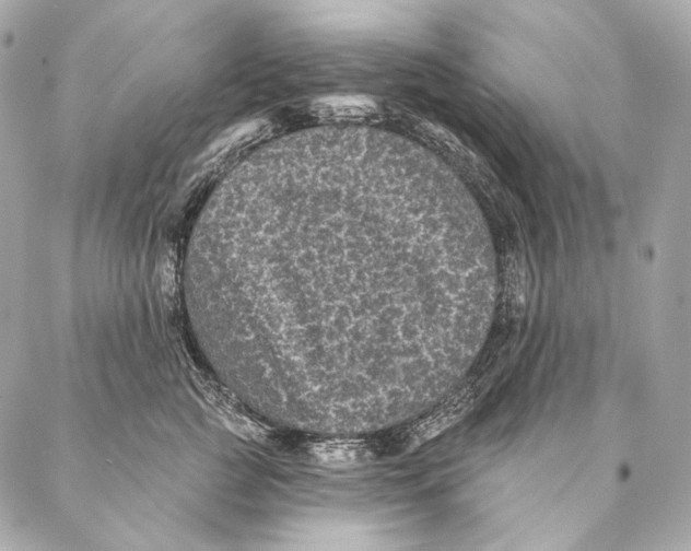 X0000087340761200705111547