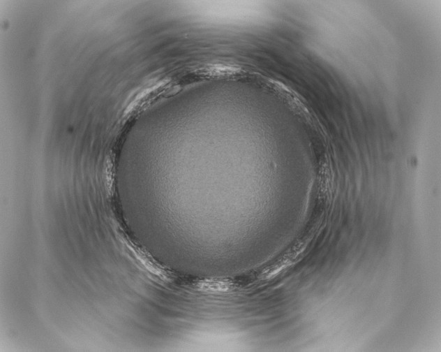 X0000087340762200705111547