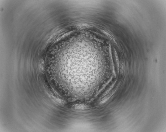 X0000087340766200705111547