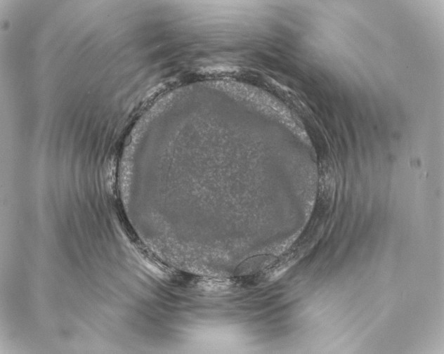 X0000087340767200705111547