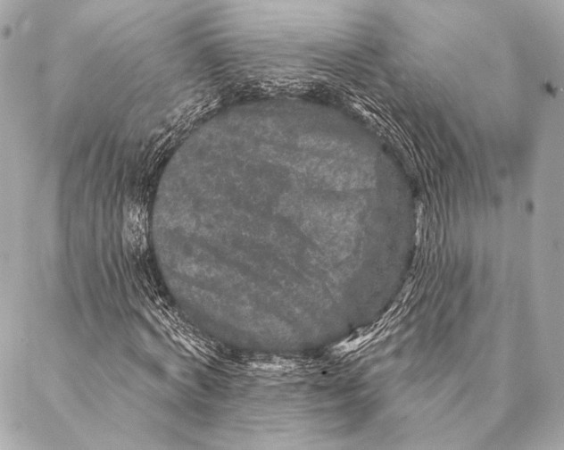 X0000087340772200705111547