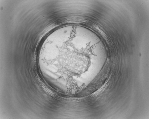 X0000087340779200705111546