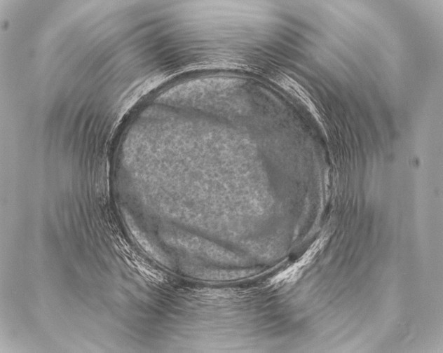 X0000087340781200705111546