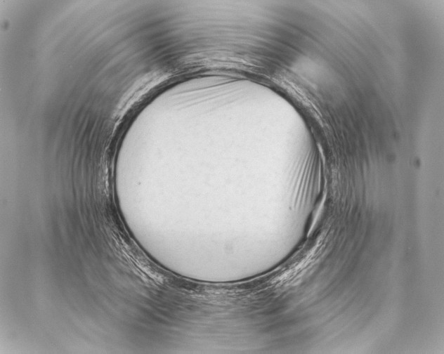 X0000087340782200705111546