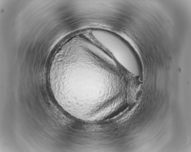 X0000087340783200705111546