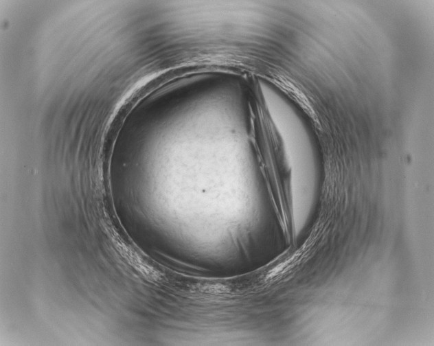 X0000087340784200705111546