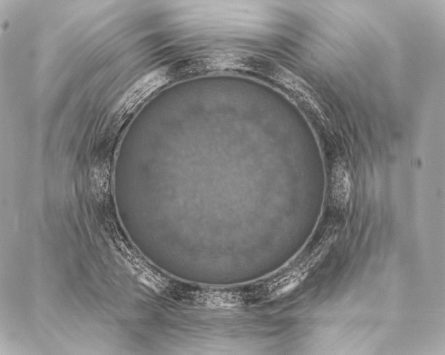 X0000087340785200705111546