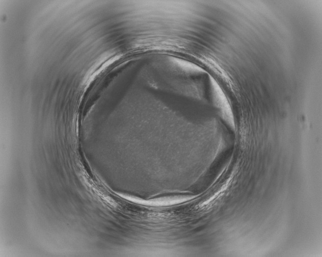 X0000087340790200705111546