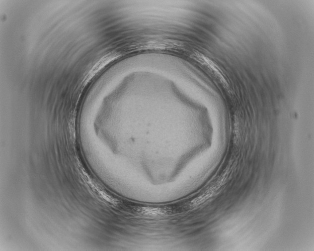 X0000087340794200705111546