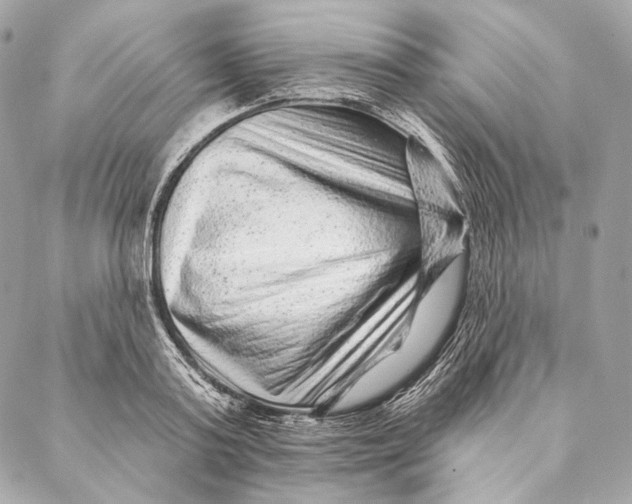 X0000087340795200705111546