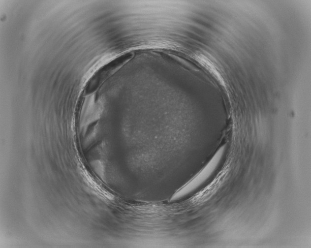 X0000087340797200705111546