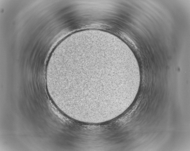 X0000087340800200705111546