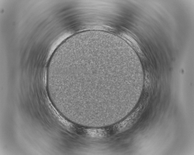 X0000087340804200705111546