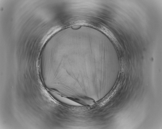 X0000087340806200705111546