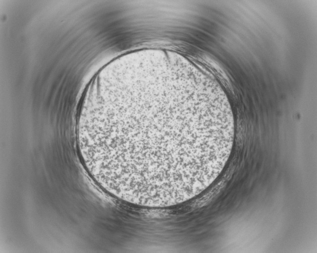 X0000087340808200705111546