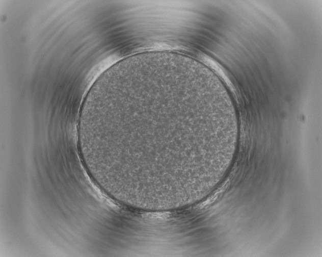 X0000087340810200705111546