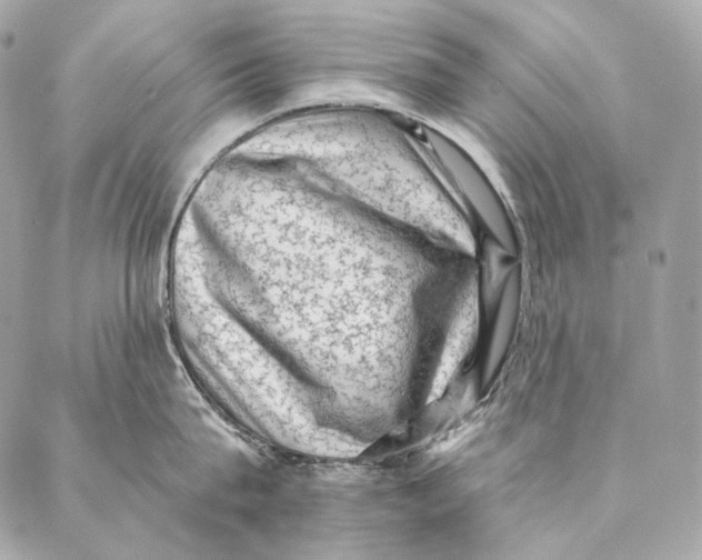 X0000087340815200705111546
