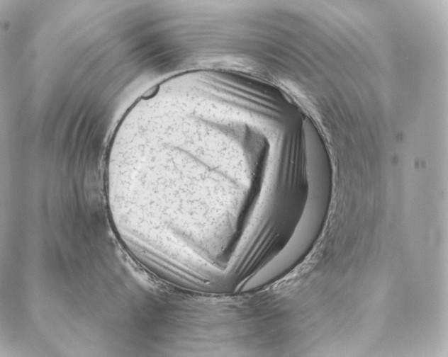 X0000087340816200705111546