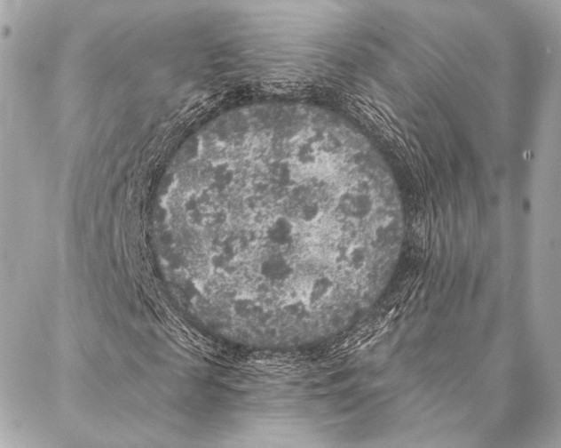 X0000087340817200705111545