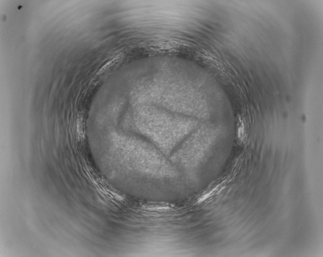 X0000087340819200705111545