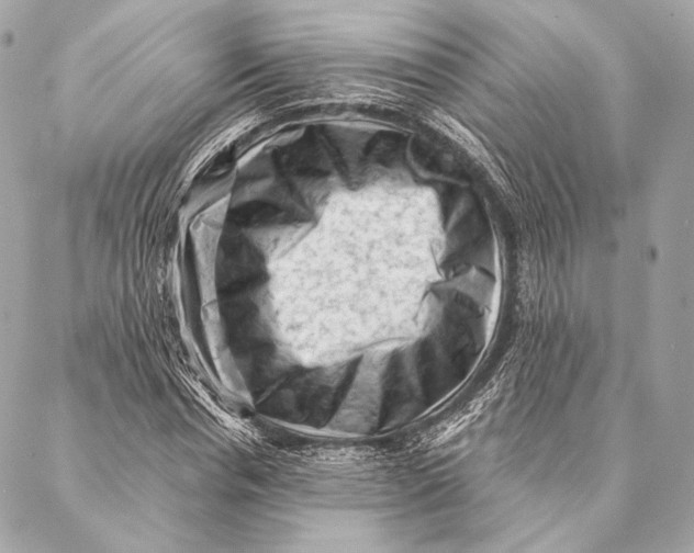 X0000087340826200705111545