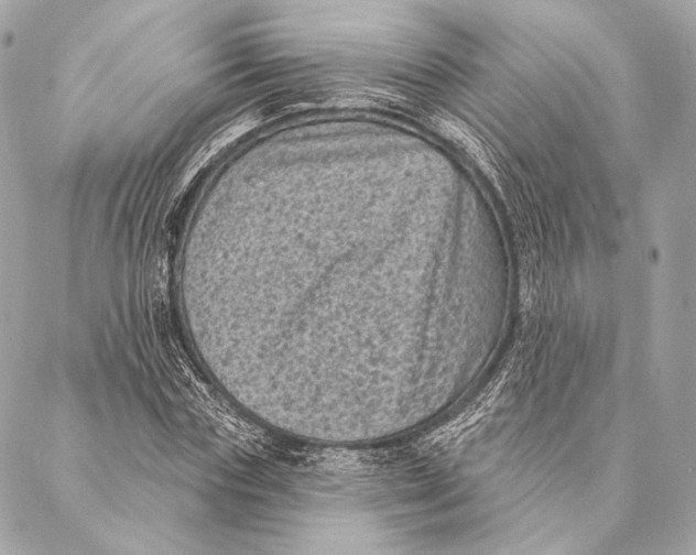 X0000087340827200705111545