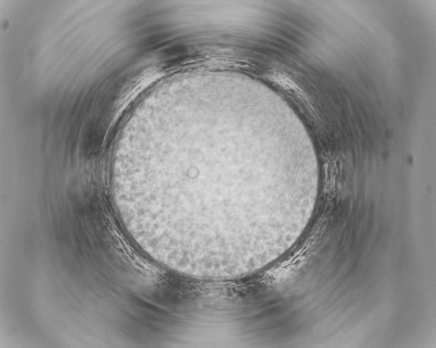 X0000087340828200705111545