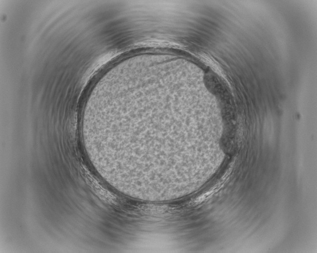 X0000087340831200705111545