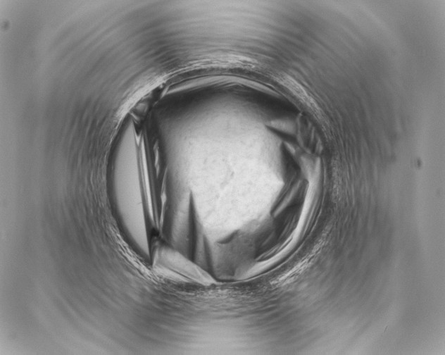 X0000087340834200705111545