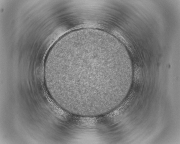 X0000087340836200705111545