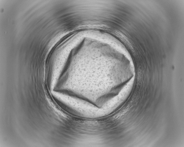 X0000087340844200705111546