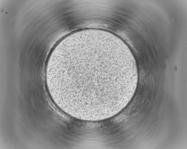 X0000087340848200705111546
