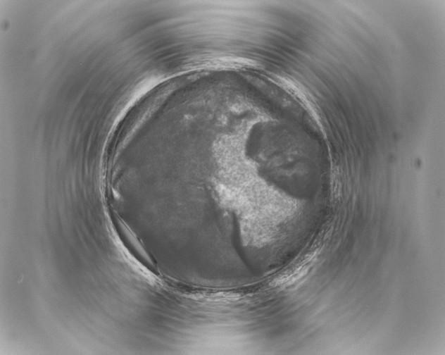 X0000087340851200705111546