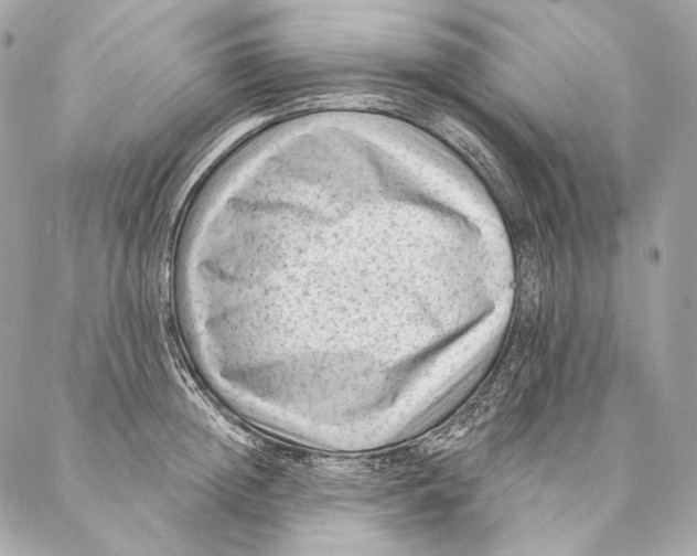 X0000087340852200705111546