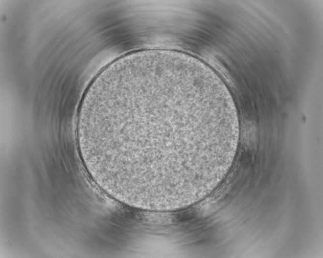 X0000087340856200705111546