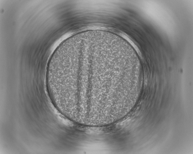 X0000087340861200705111546