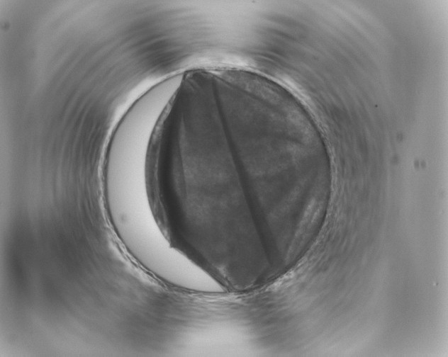 X0000087340864200705111546