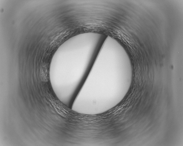 X0000087340868200705111545