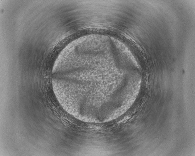 X0000087340870200705111545