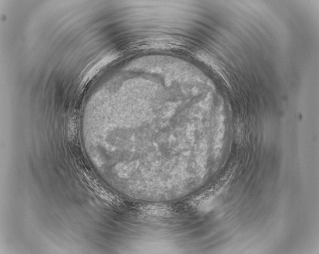 X0000087340874200705111545