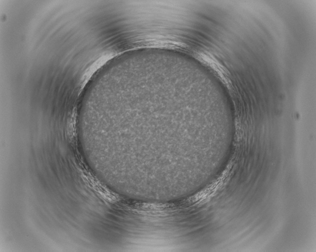 X0000087340875200705111545