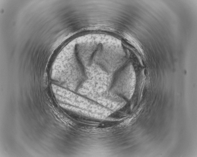 X0000087340876200705111545