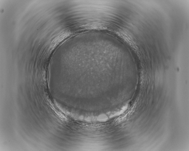 X0000087340881200705111545