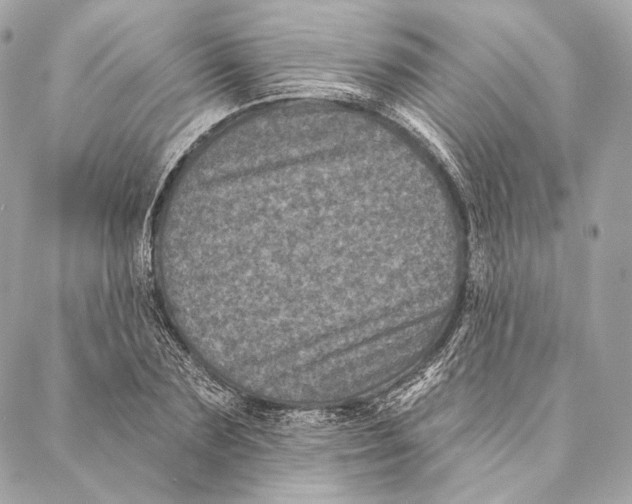 X0000087340883200705111545